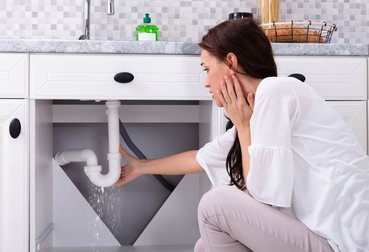 Common Plumbing Problems and How to Fix Them Yourself